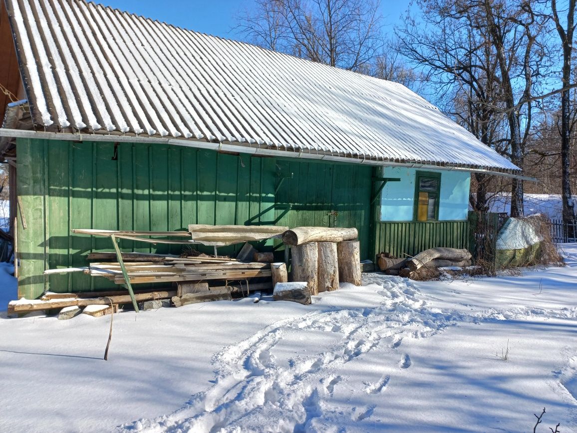 Будинок в селі Дзвиняч, Івано - Франківська обл