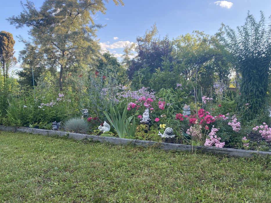 Działka ogrodowa nr 524 w Suwałkach im. Jaćwingów