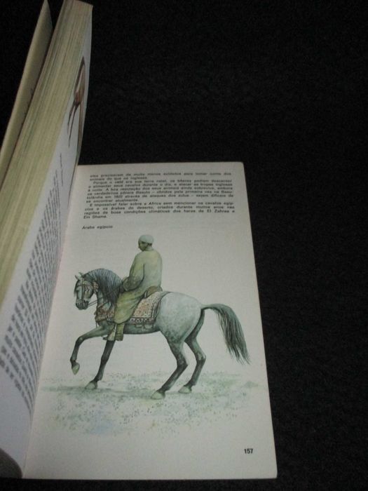 Livro Cavalos Judith Campbell Prisma