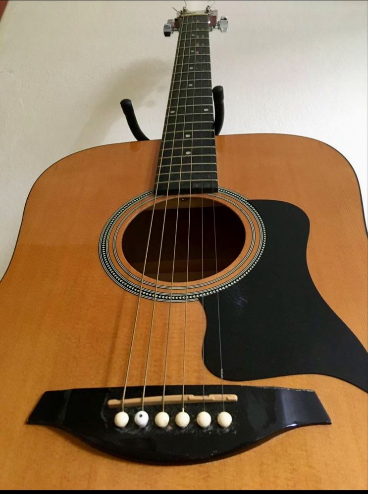 Hohner HW 220 ( Відео )