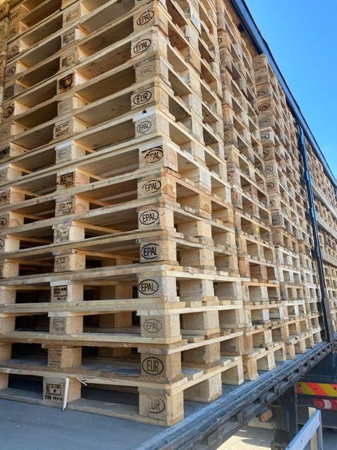 Sprzedam Palety Euro1 Jasna duże ilości od reki