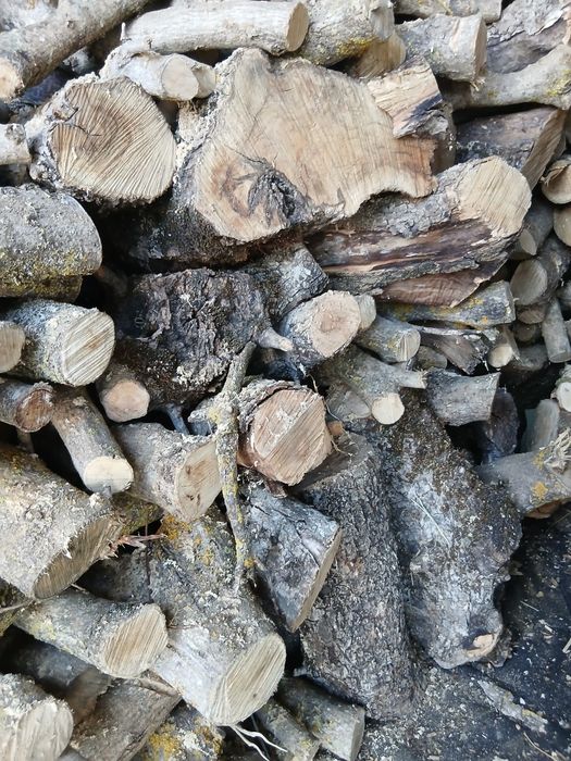 Lenha  oliveira lareiras