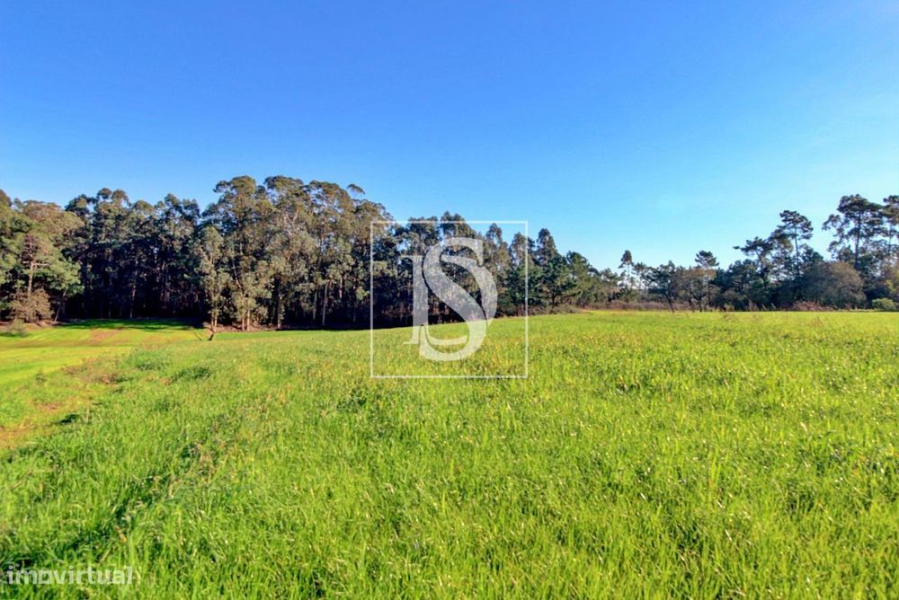 Terreno – Laúndos – Póvoa de Varzim