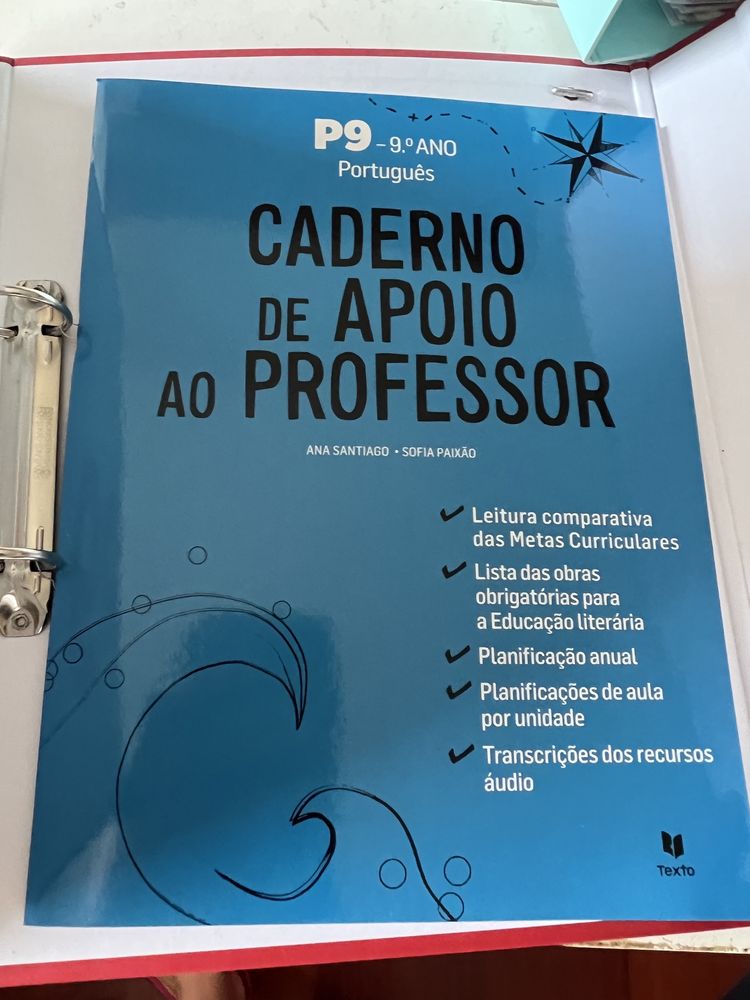 Dossiê do professor P9 - português