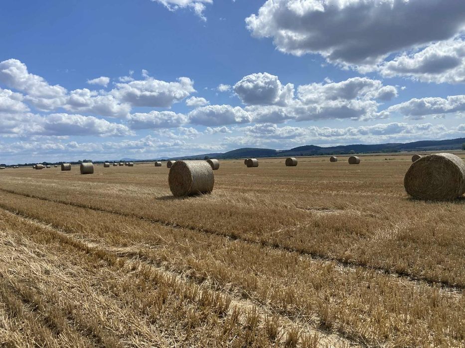 Słoma Baloty zbiór 2025