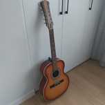 Gitara 12-strunowa