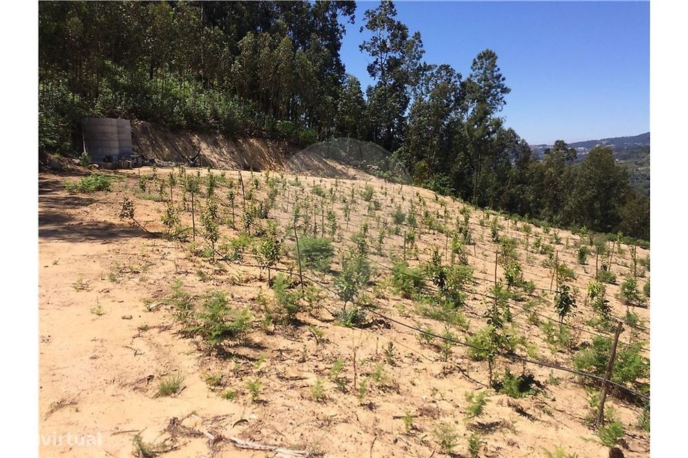 Terreno  para venda