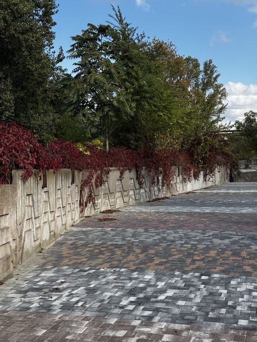 Тротуарная плитка