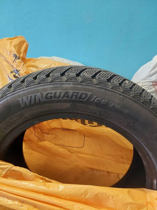 Разина зимову Nexen