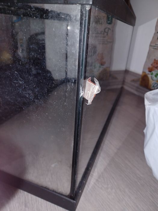 Vendo aquário/tartarugueira