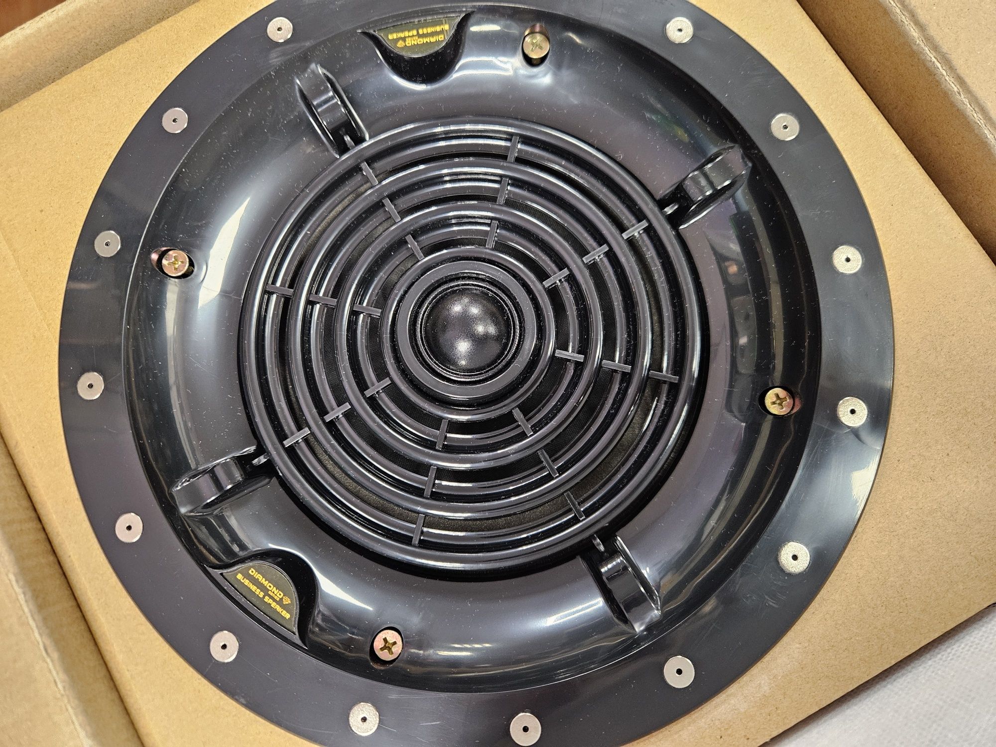 Tonsil business speaker 100W