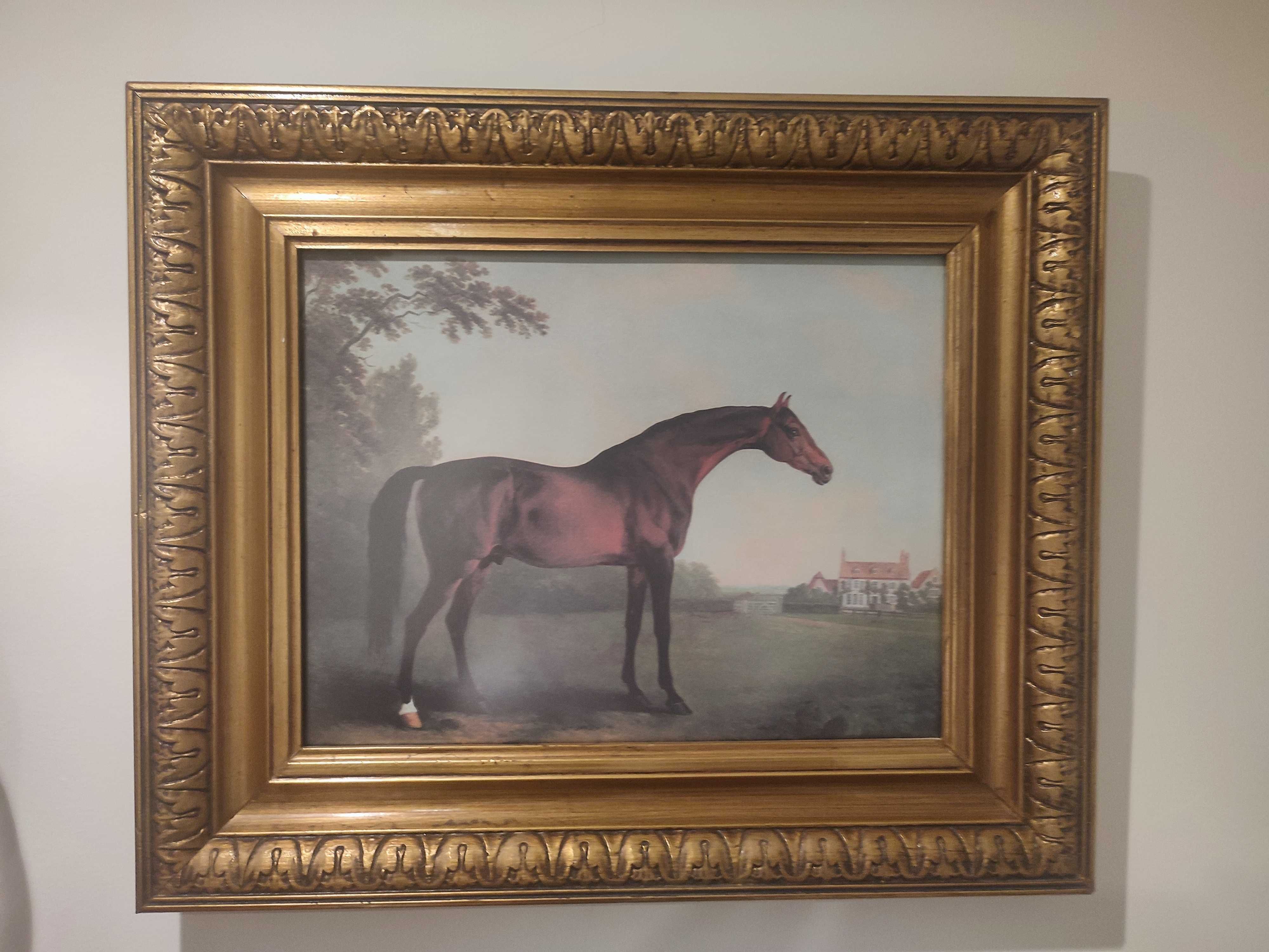 Quadros cavalos - conjunto dois quadro com gravura de cavalos
