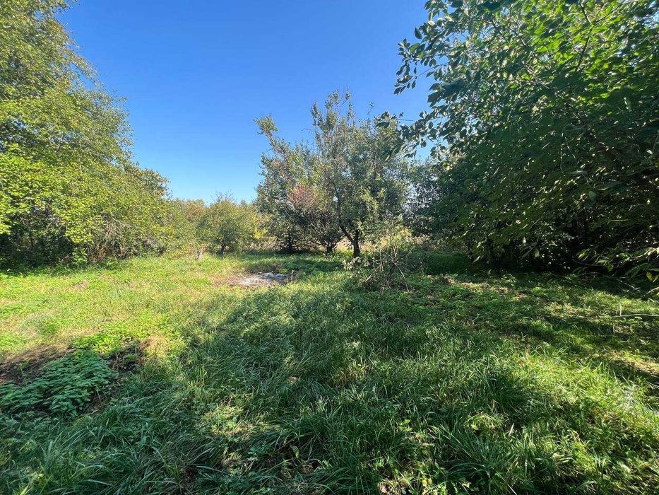 Продаж будинку 60м2, 4 кімнати, 43 сотки.Власний вихід до річки.ID:201