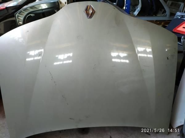 Capot Renault Laguna Ii (Bg0/1_)