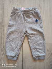 Spodnie dresowe szare dla dziecka Adidas 9-12 m.