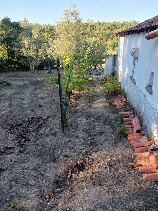 Vende-se quinta sitio ideal para passar férias soalheiro e sossegado