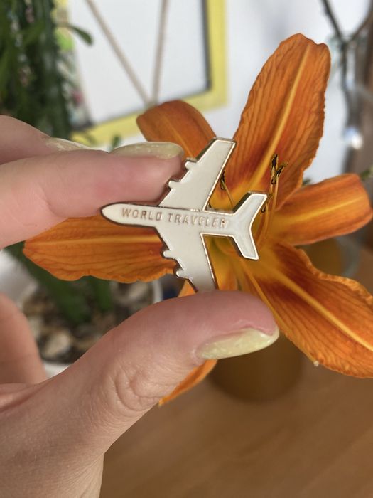 Значок самолет новый украшение значок путешествие