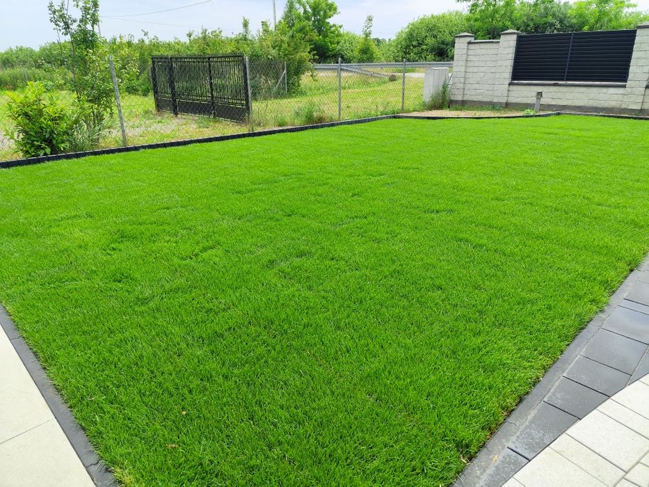 Automatyczne Nawodnienie Ogrodu Trawa z Rolki  Zakładanie Ogrodów