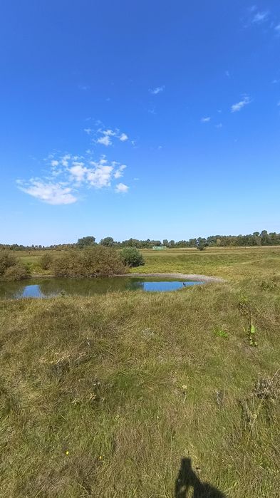 Продам ділянку в селі Літочки Броварського району Київської області