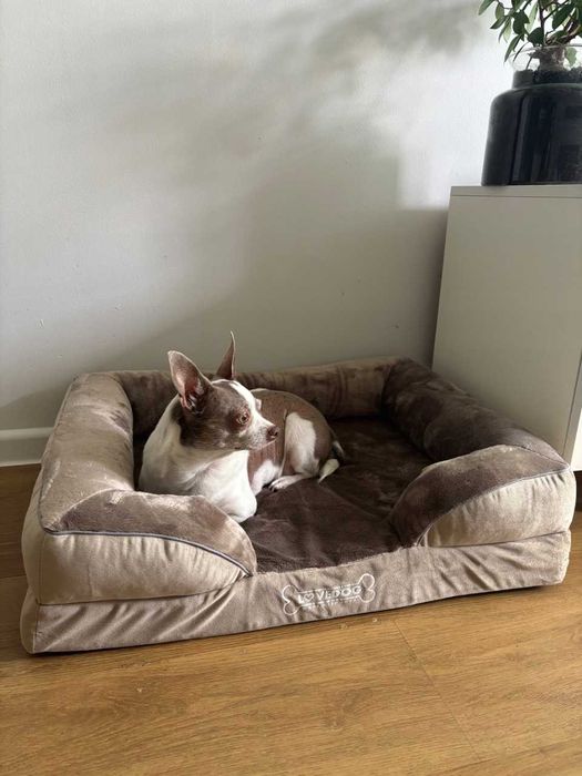 Ortopedyczne legowisko dla Psa 70×55 cm – polskie, wodoodporne, NOWE