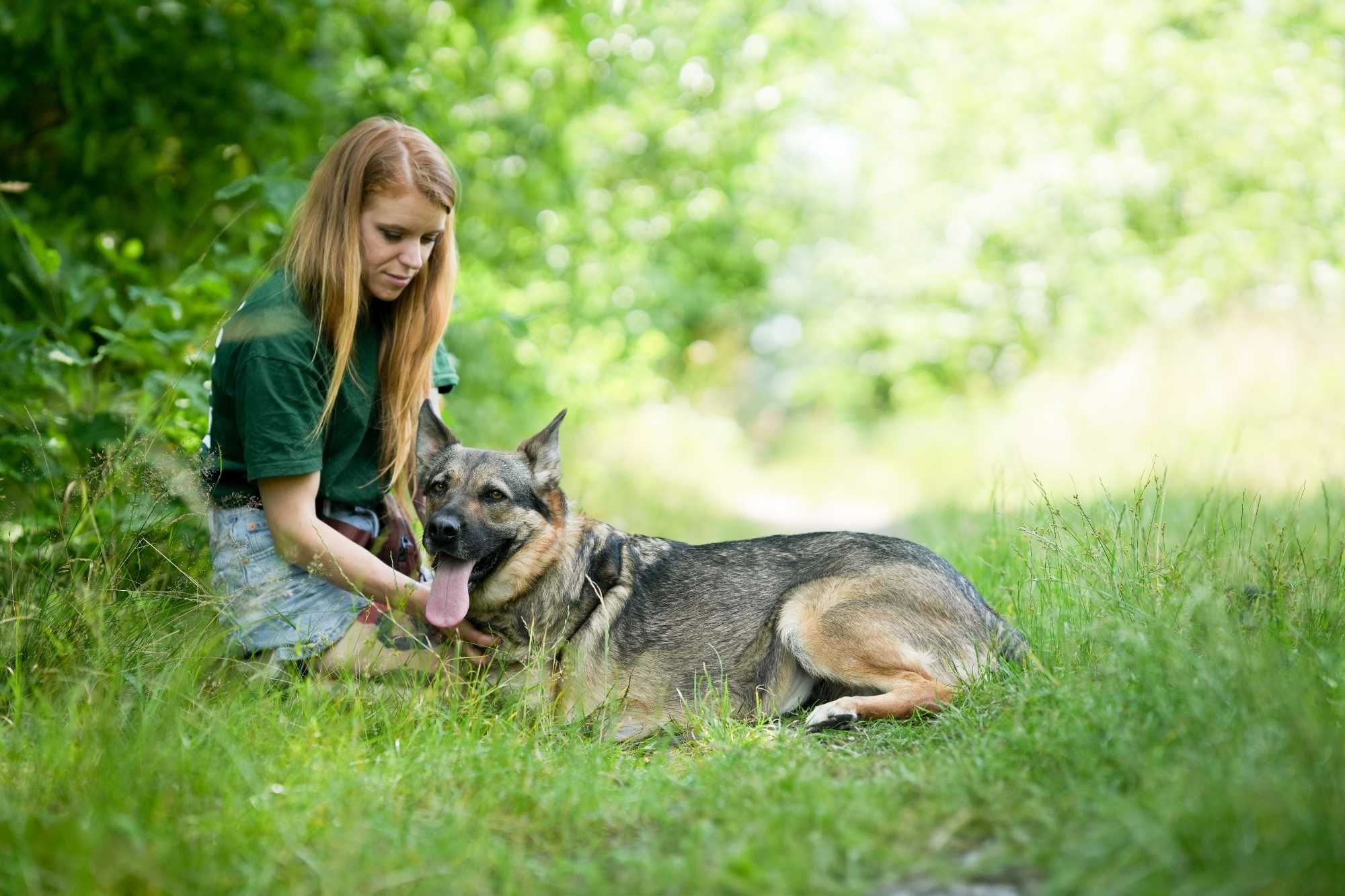 Alinka - psia wojowniczka gotowa na nowy początek. Suczka do adopcji.