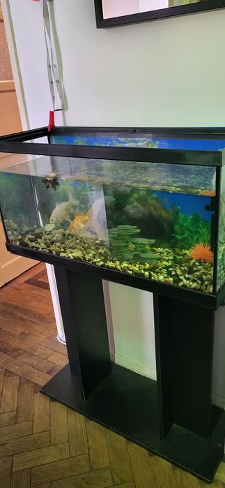 Aquário com 80cm de comp