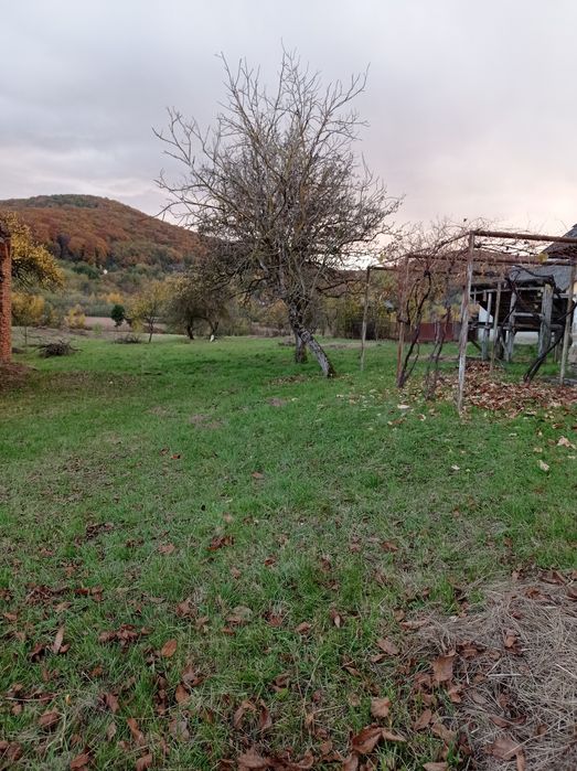 Земельна ділянка недалеко від Ужгорода, с. Глибоке