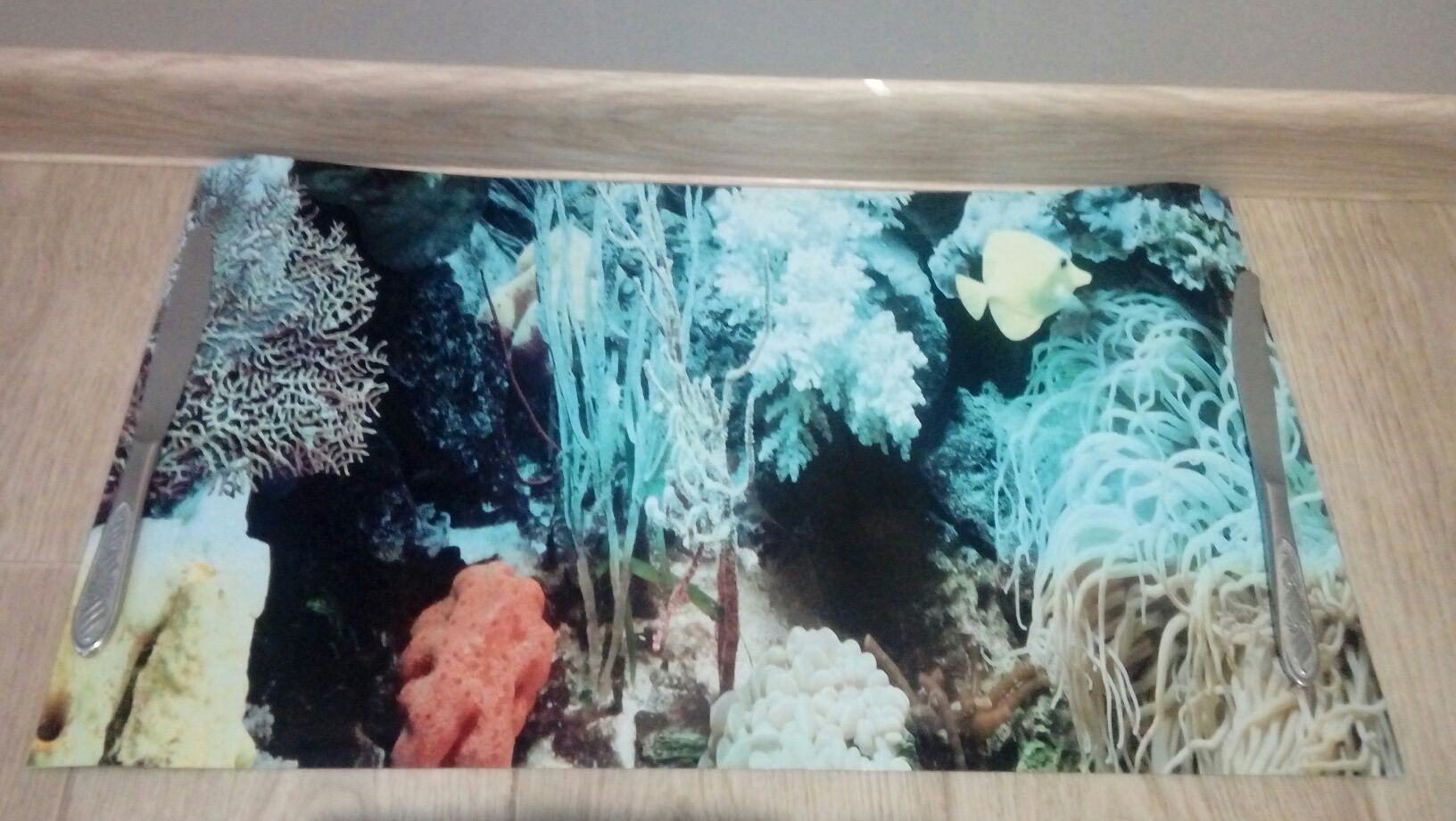Sztuczne rośliny i tło do akwarium