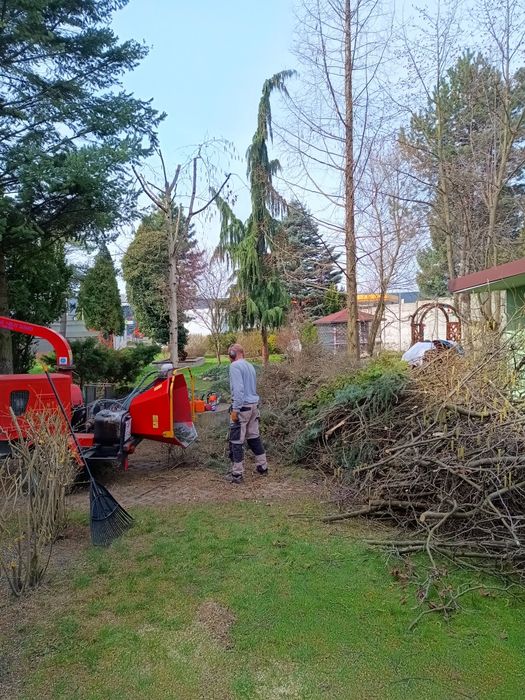 Usługi rębakiem mielenie gałęzi wycinka drzew