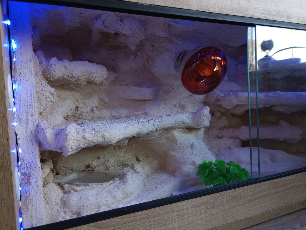 Kompletne terrarium dla gekona, agamy