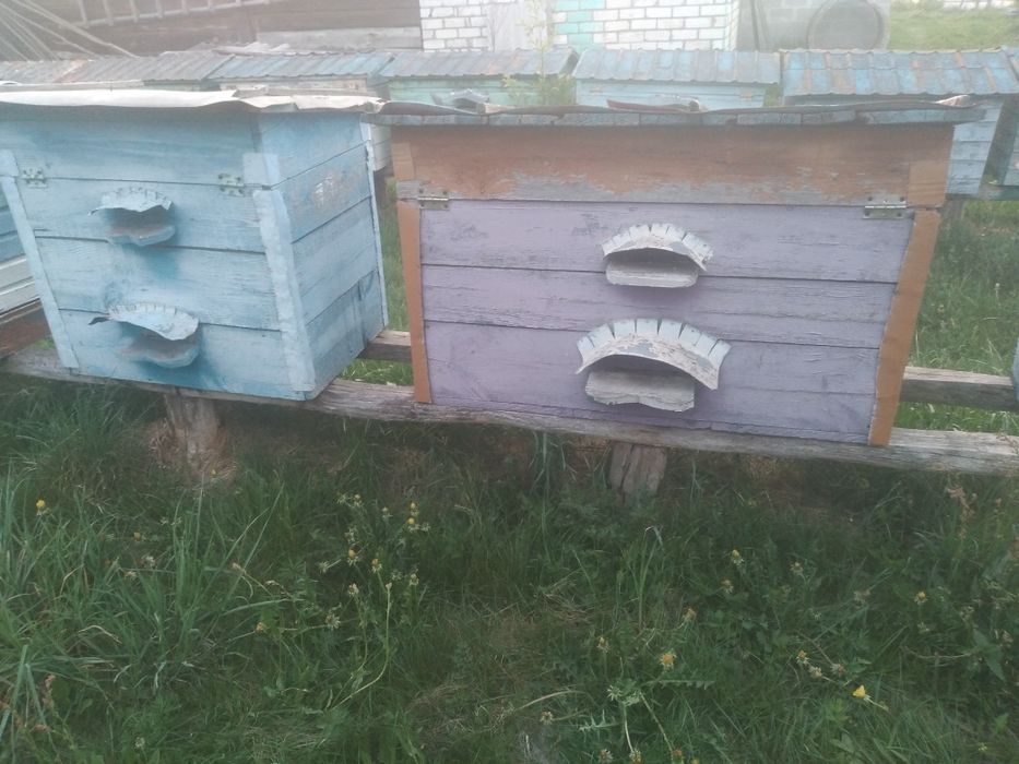 Продам вулики різні