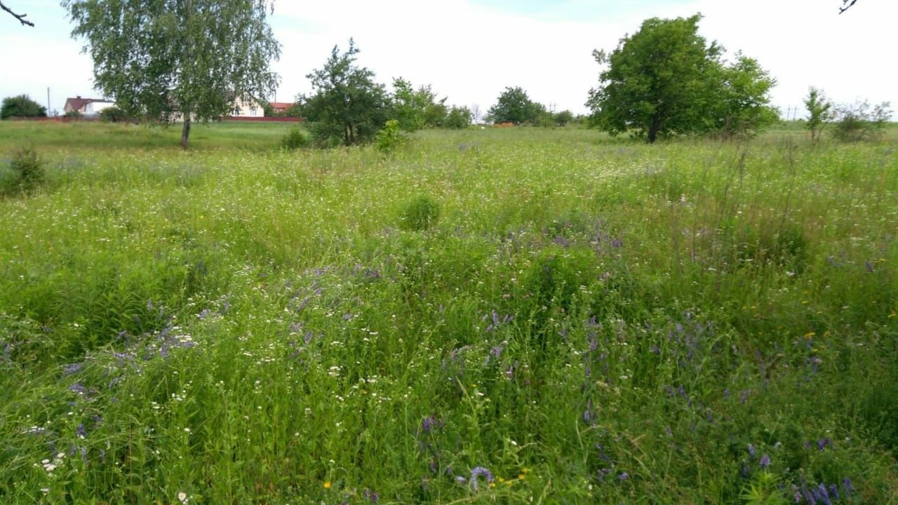 Продам земельну ділянку с.Дядьковичі Рівненського, Рівненської області