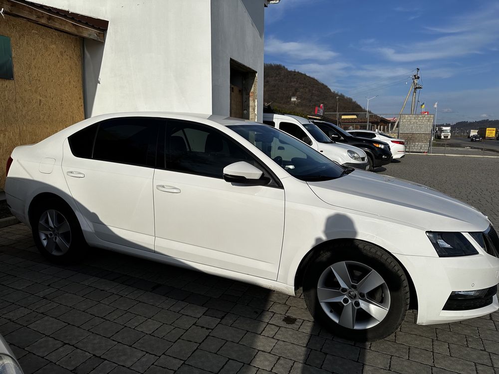 Skoda oktavia a7 2019р