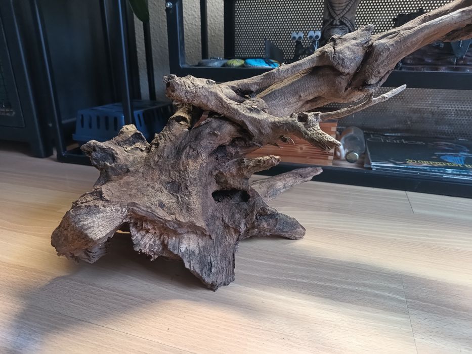 Duży korzeń do akwarium lub terrarium