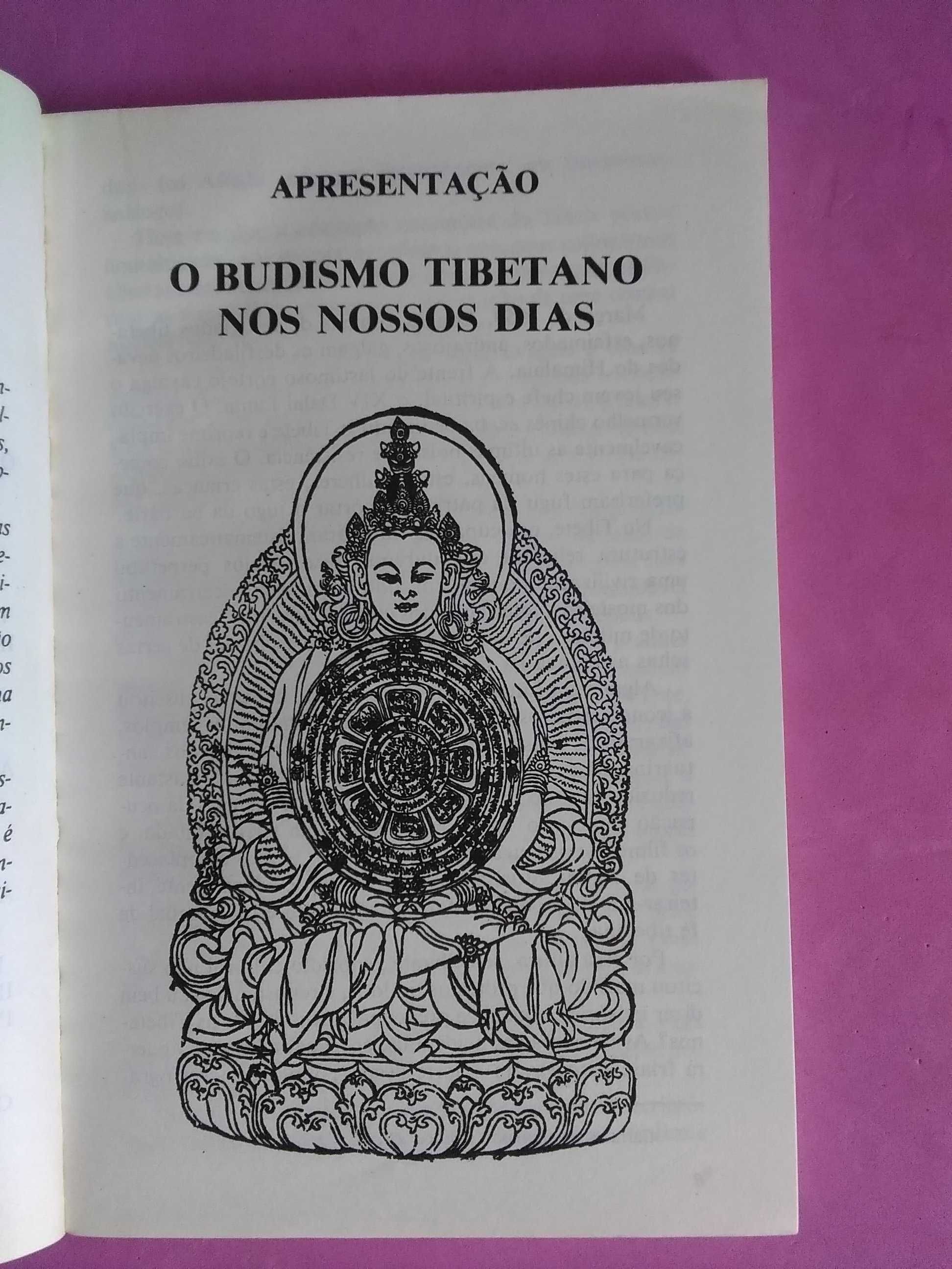 O Budismo Tibetano por Jean Michel Varenne
