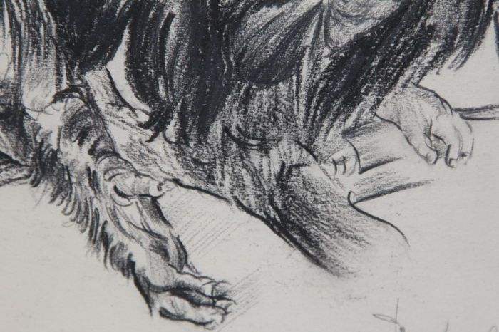 Desenho em carvão vegetal do artista Holandês Van Laere - 1943