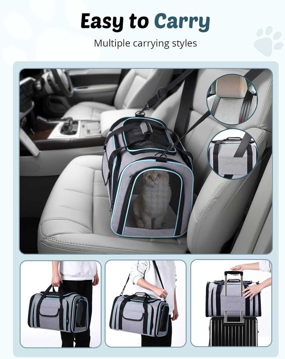Transportadora Cães e Gatos