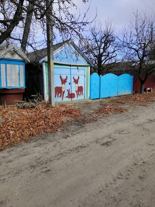 Будинок із великим господарством – с. Білoусівка