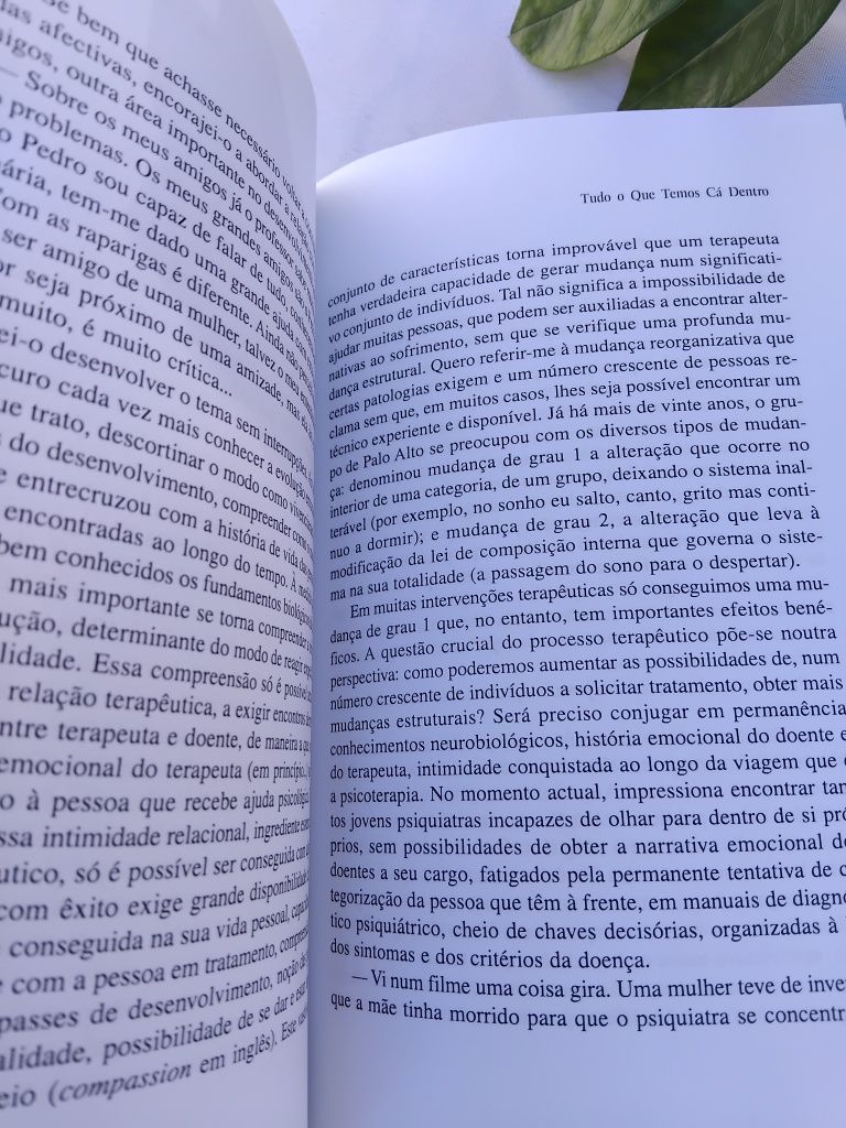 Tudo o Que Temos Cá Dentro  de Daniel Sampaio