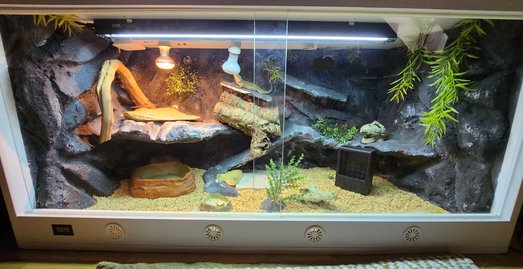 Terrarium dla agamy 120x60x60