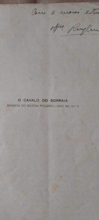 O cavalo do Sorraia