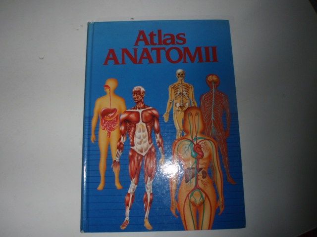 atlas anatomii