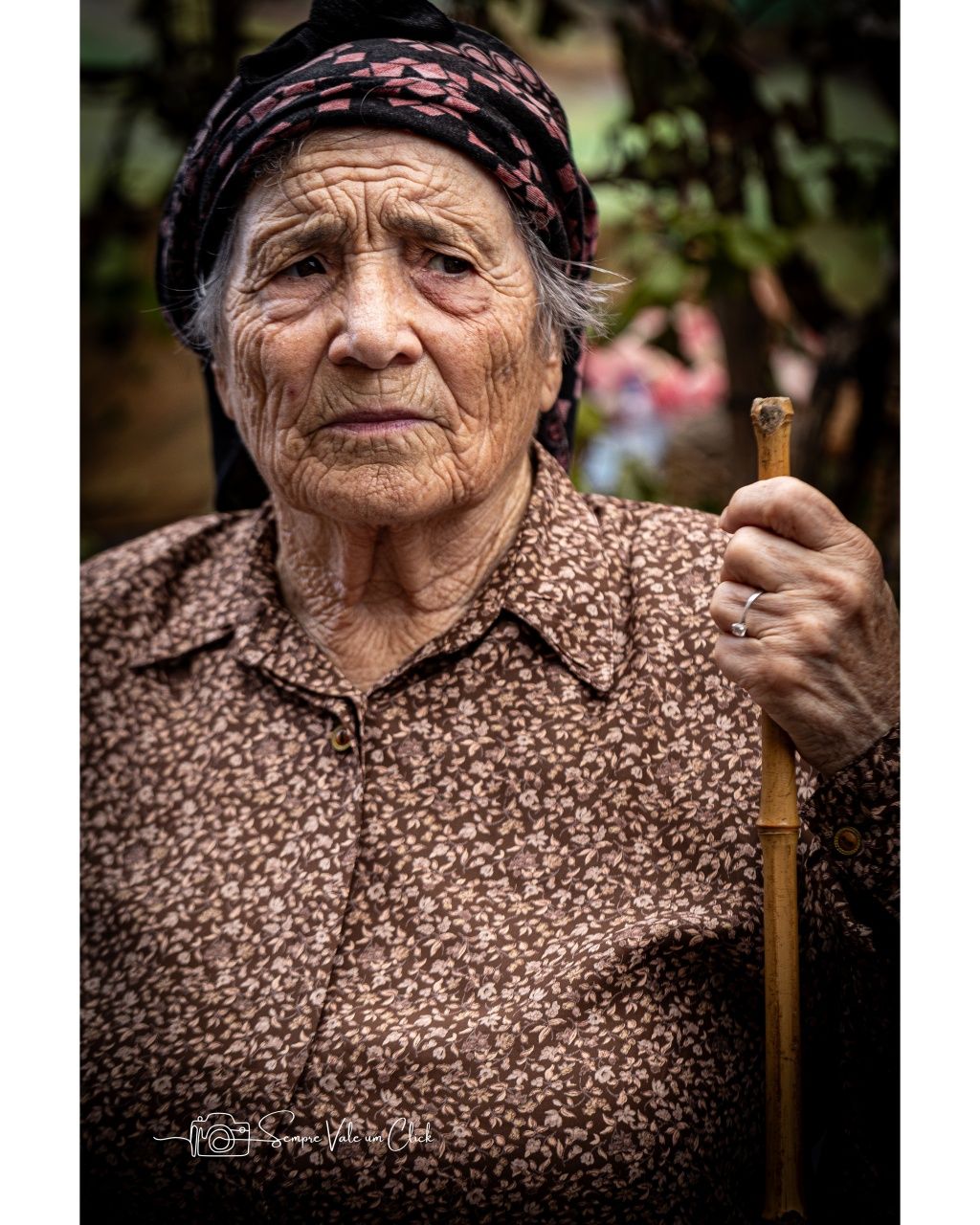 Fotógrafo de tudo