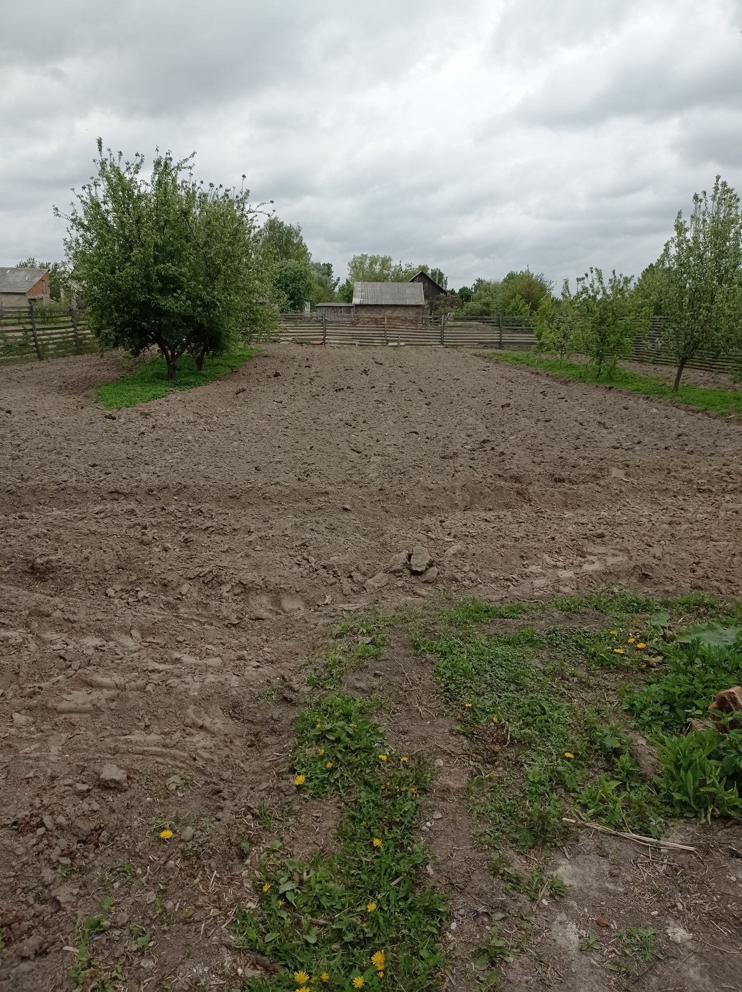 Садиба біля річки Десна. Село Слабин. Є-ВІДНОВЛЕННЯ.