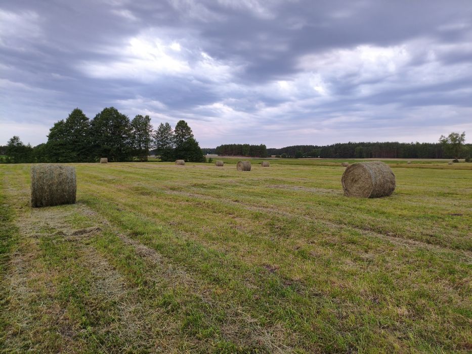 Siano SUPER JAKOŚĆ 130x120 po pasówce 1 i 2 pokos oraz sianokiszonka 2