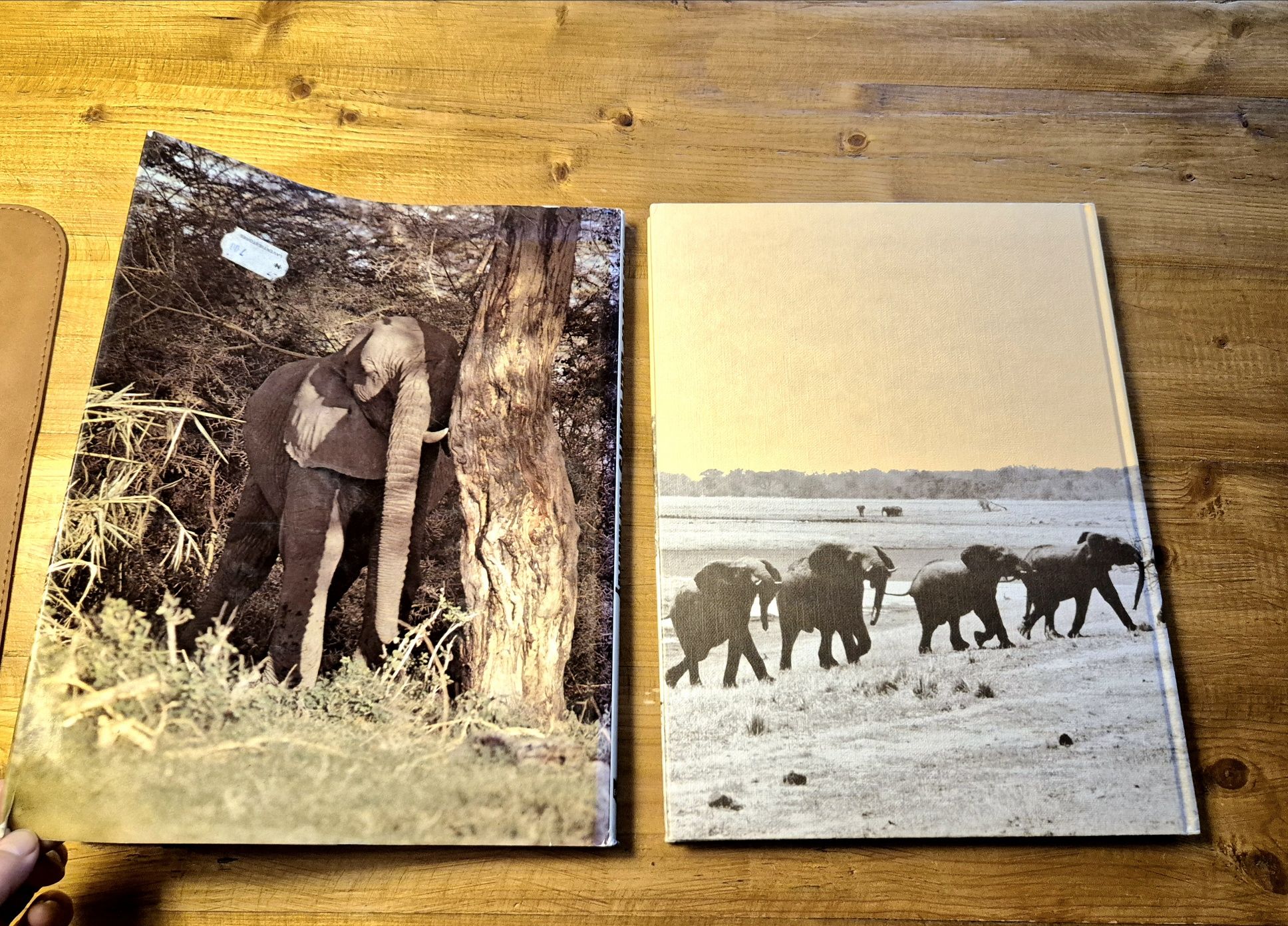 The Love Of Elephants - Neil Murray