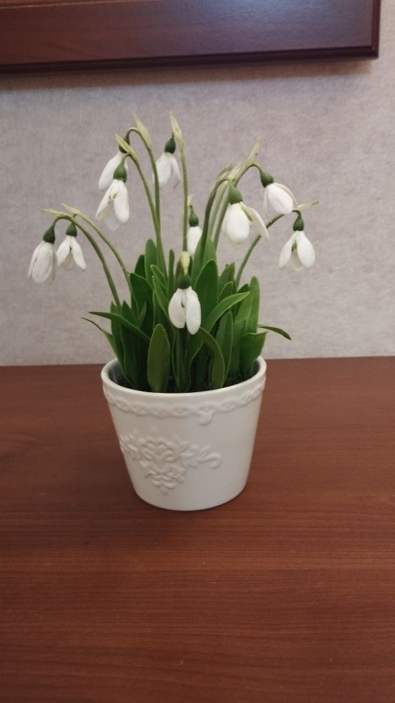 Продаю подснежники   из холодного фарфора