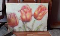 Obraz tulipany 100x70