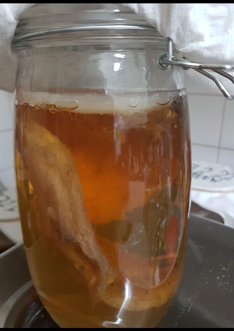 Kombucha Chá Verde (Bebida/2 Scoby/Starter/Pote)