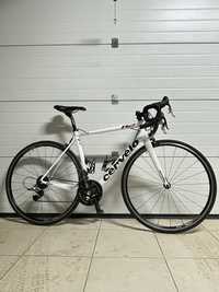 Cervelo R2 Carbono T54